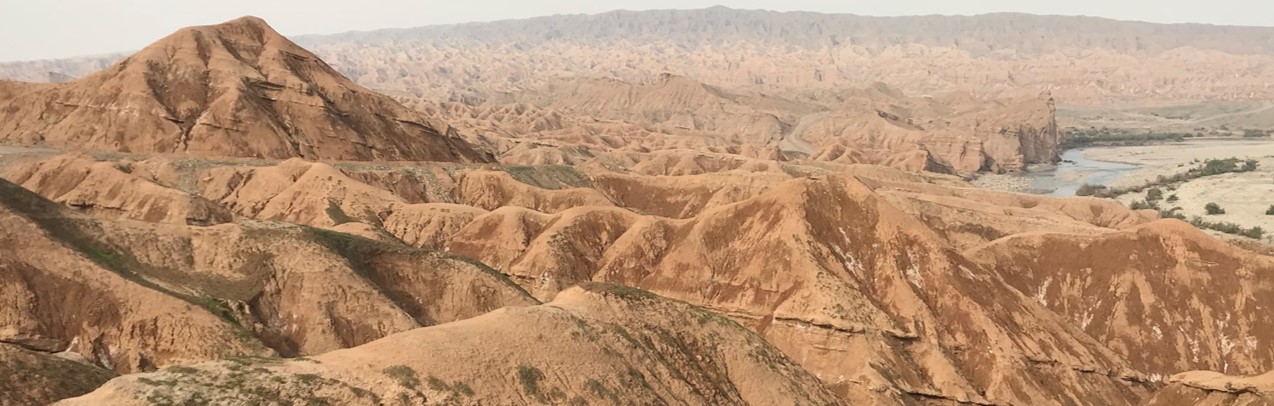 Pliocene aged Lahbari Member