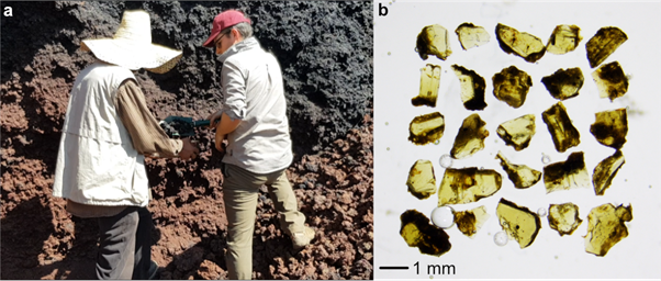 Figure 1. (a) Main Ethiopian Rift scoria being collected from quarried cinder cones by Yared Sinetebeb (left; Addis Ababa University) and David Ferguson (right; University of Leeds). (b) Olivine crystals are collected from these scoriae for our study and mounted in epoxy resin for geochemical analysis. Credit. K. Wong.