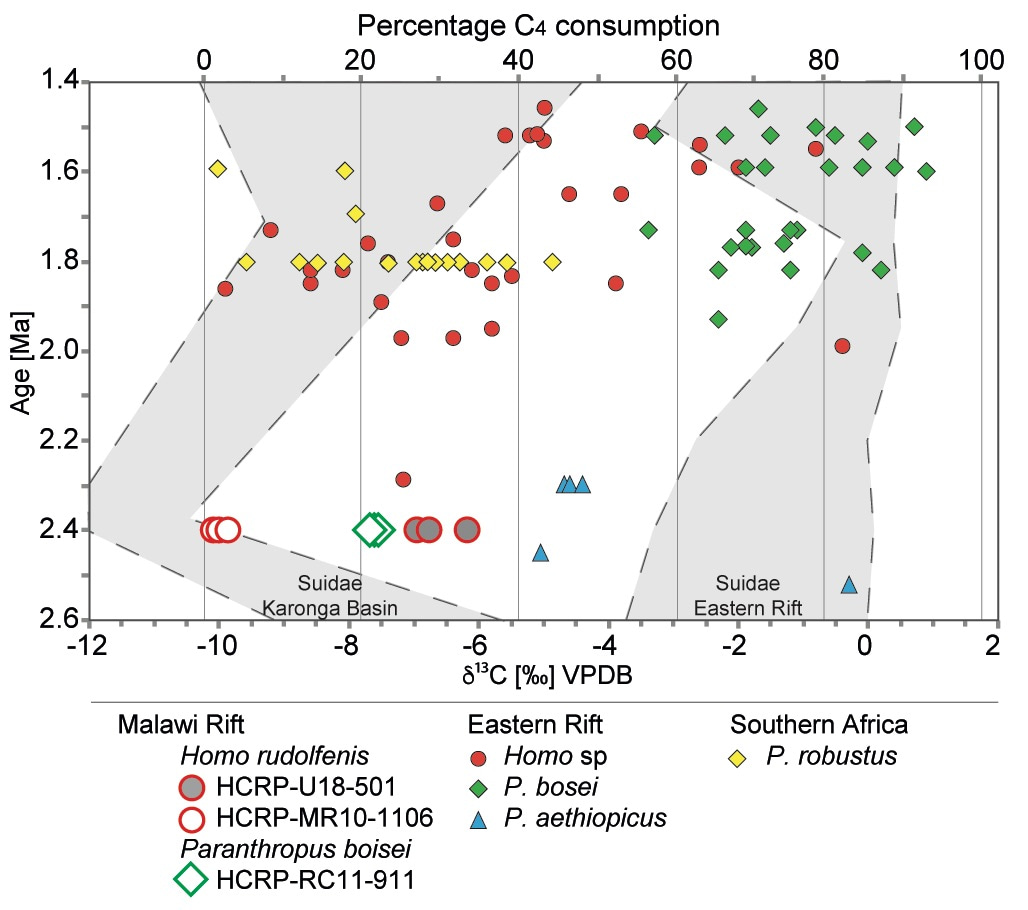 Diet of early hominins