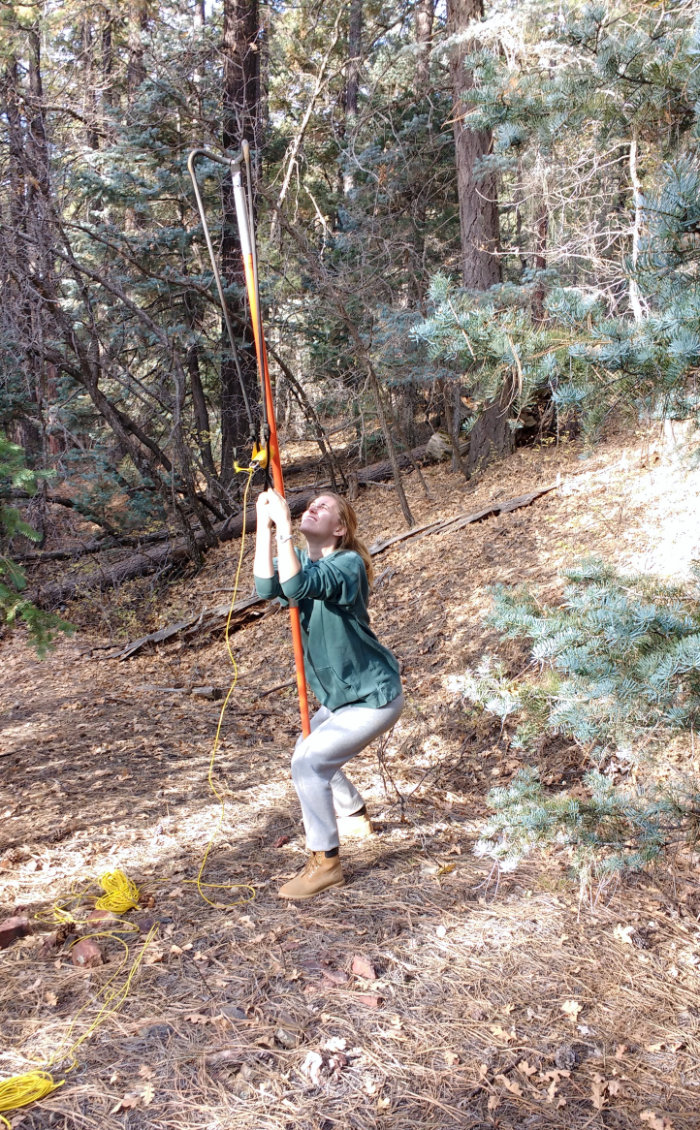 Photo of undergrad Sequoia Fischer shooting a rope saw into the canopy to sample leaves