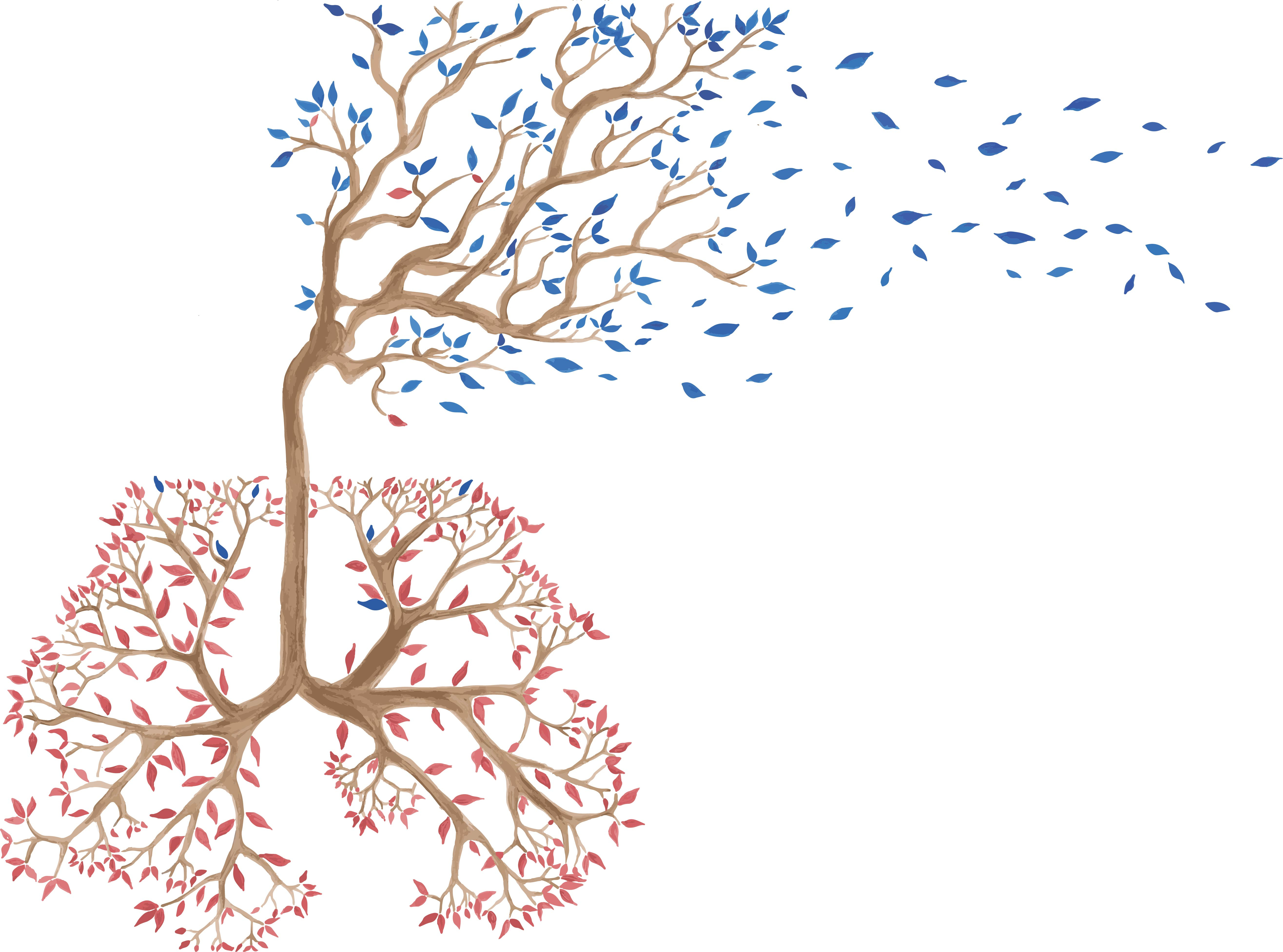 Artistic impression of the study Artistic impression of the study