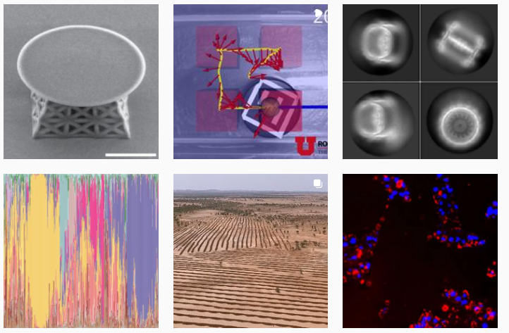 Six square images showing different aspects of scientific research/images.