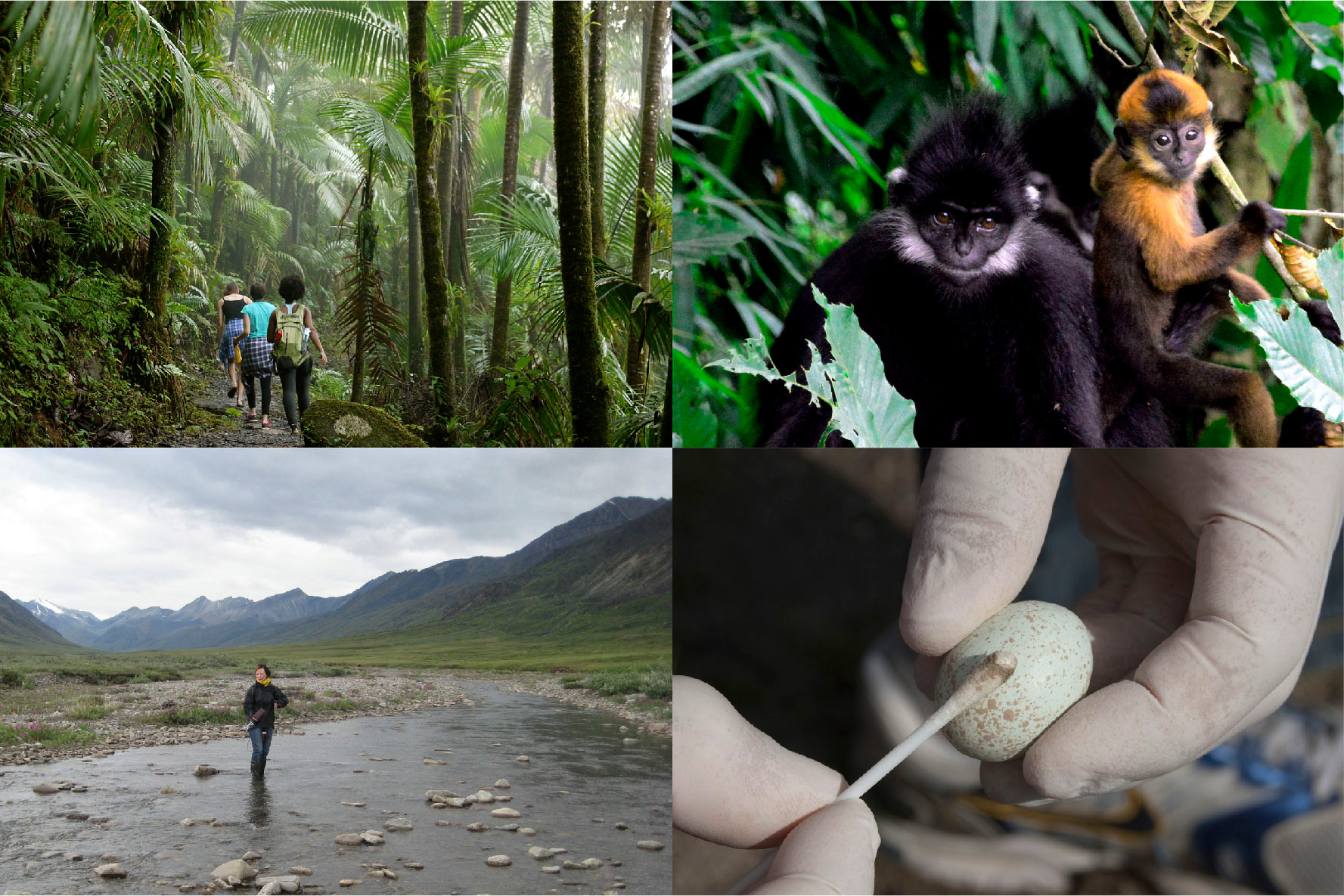 Photo collage of sampling for the EMP (1 of 2)