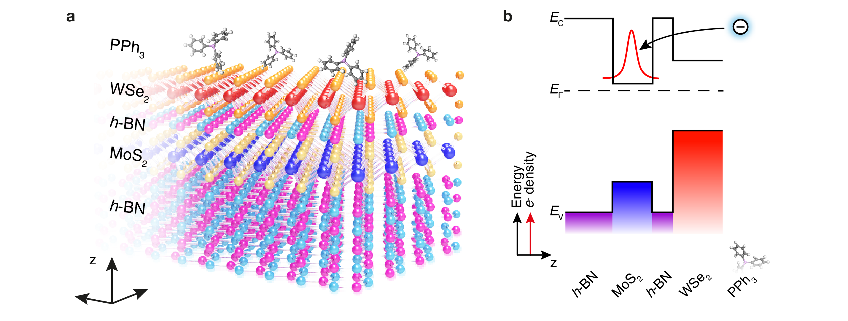 Figure 1. Schematic (a) and band diagram (b) of the modulation-doped van der Waals heterostructures.