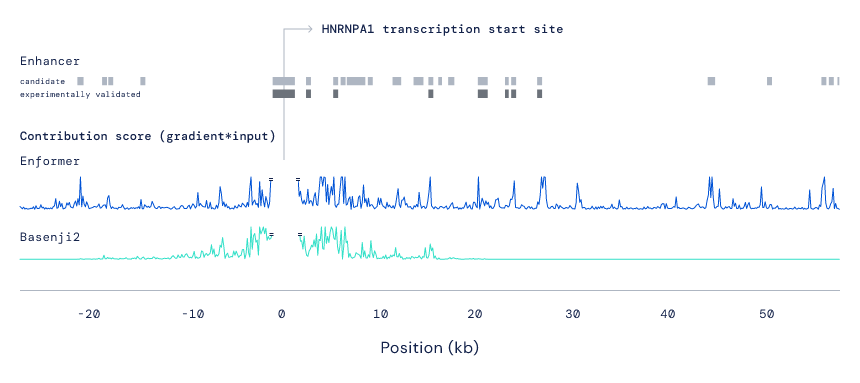 DeepMind Enformer diagram 2