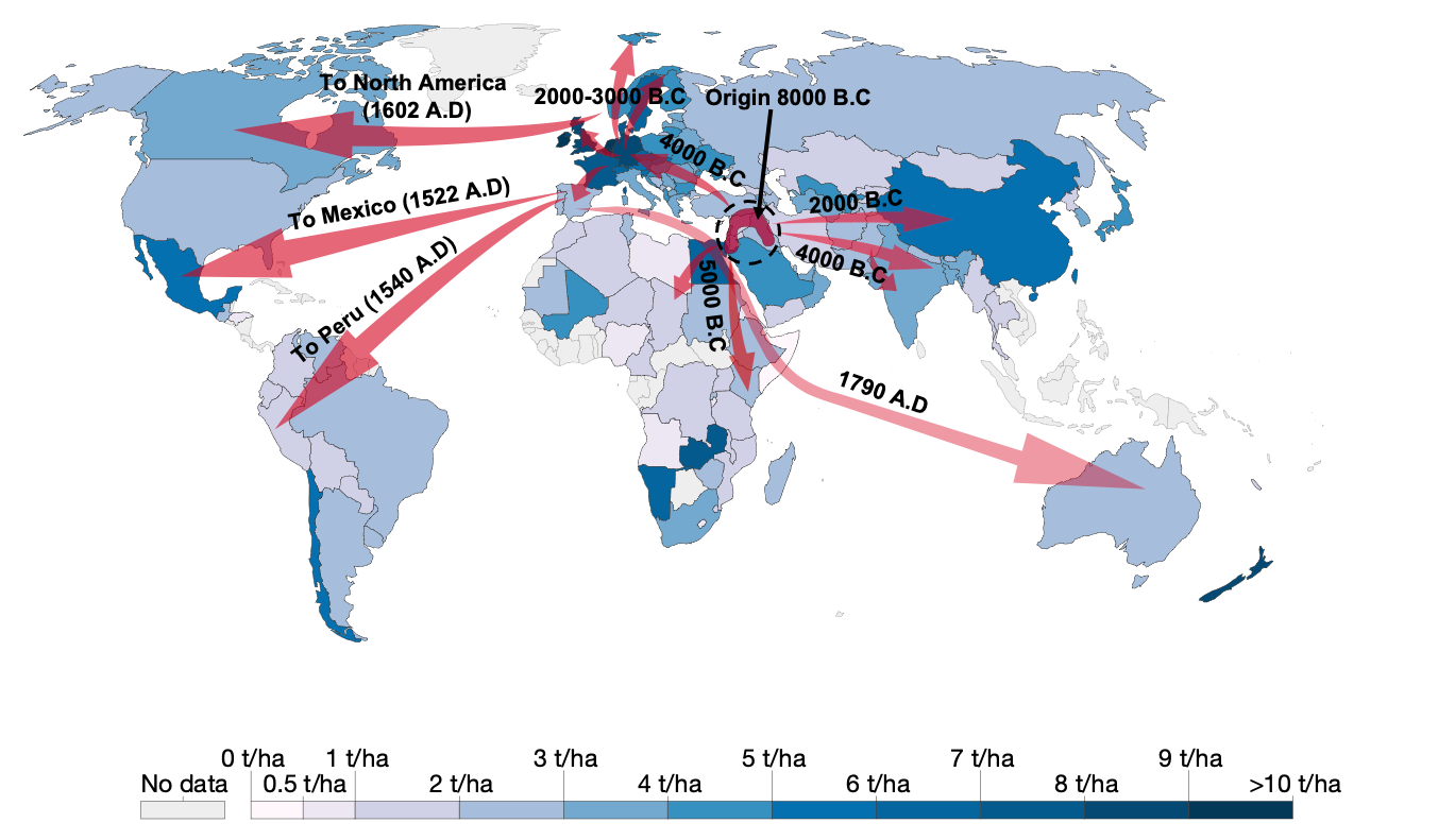 The spreading history of wheat