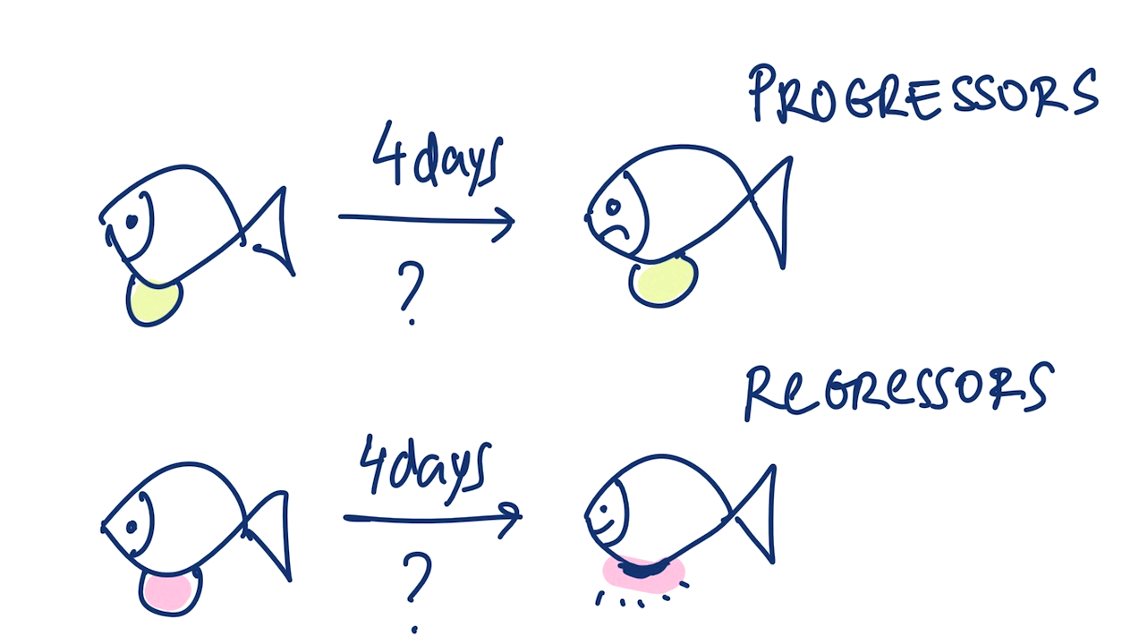 progressors regressors