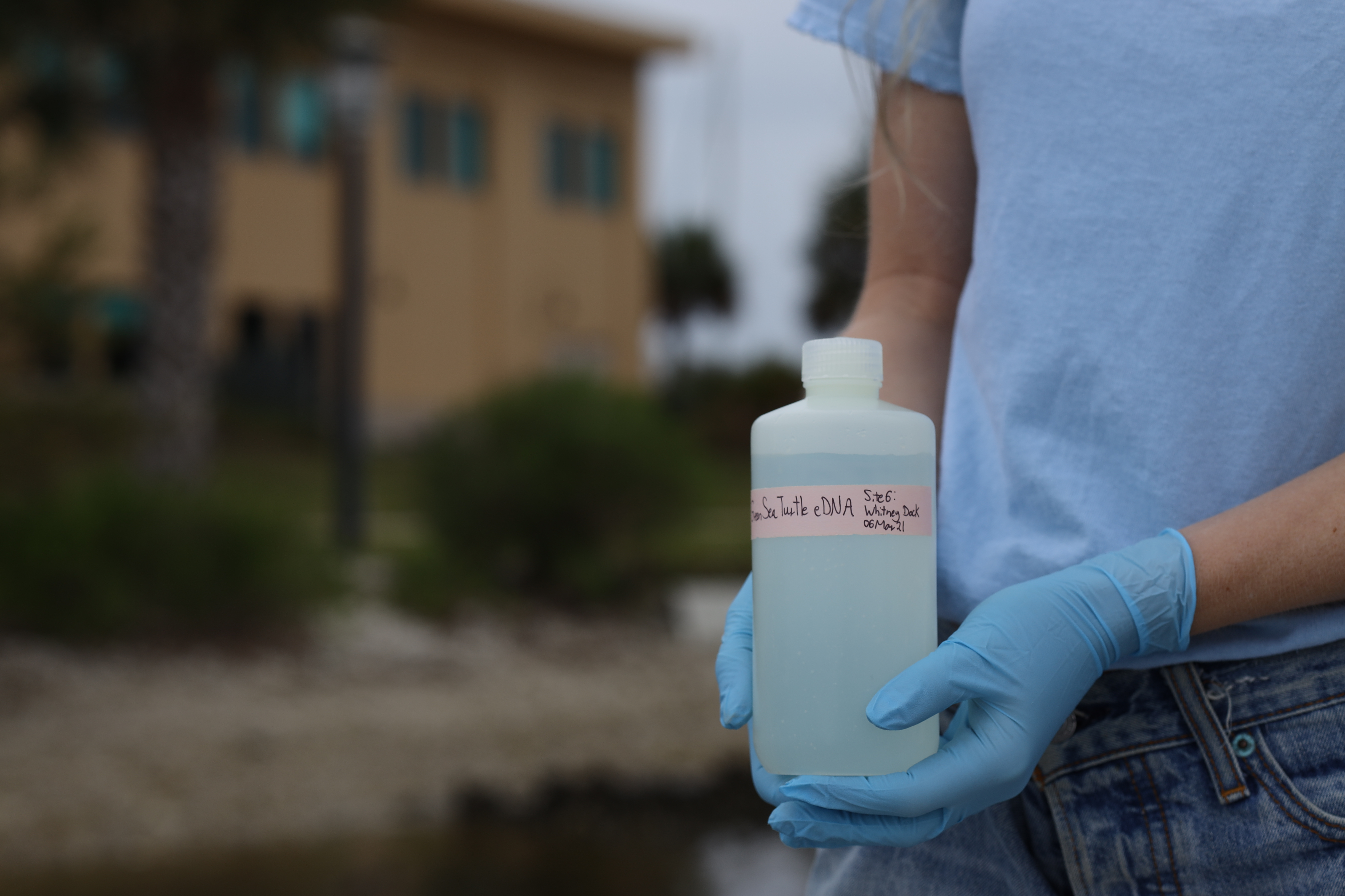 Bottle containing salt water.