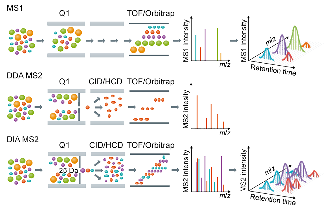 Schematic illustration of the DDA and DIA approaches