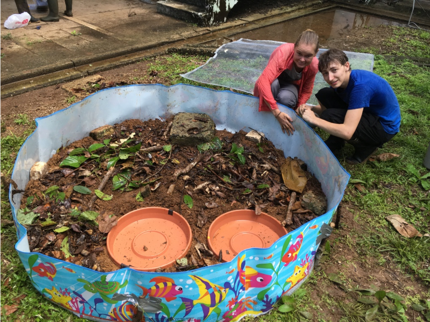 Mesocosm setup. Photo:Michiel Blaas