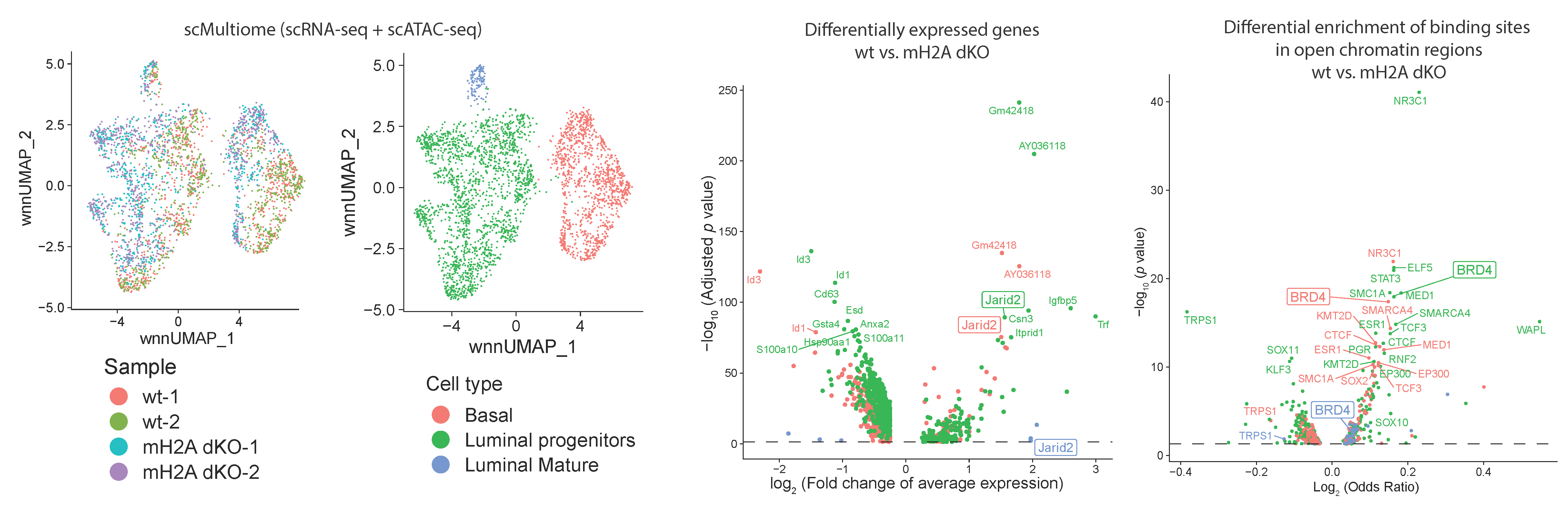 Single cell multiome analysis