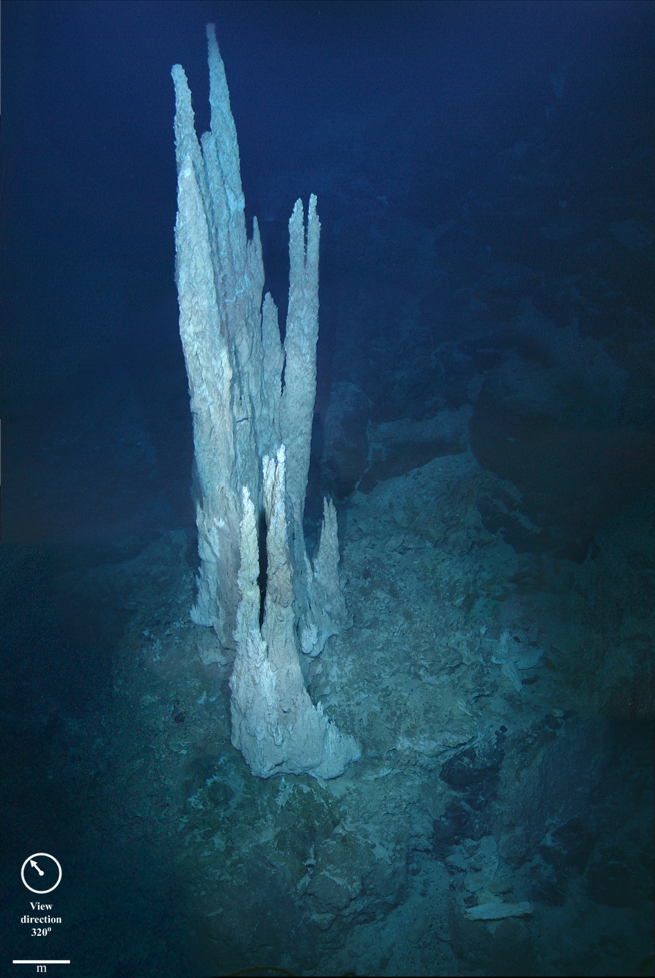 An alkaline hydrothermal vent