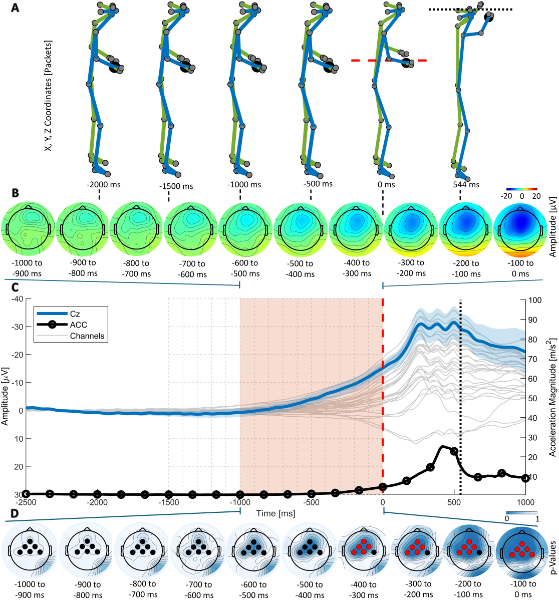 Body posture, wrist acceleration, and grand-average Event-Related Potential scalp topographies across participants illustrate the development of the readiness potential before movement onset. From Contreras-Altamirano et al. (2026), CC BY 4.0.