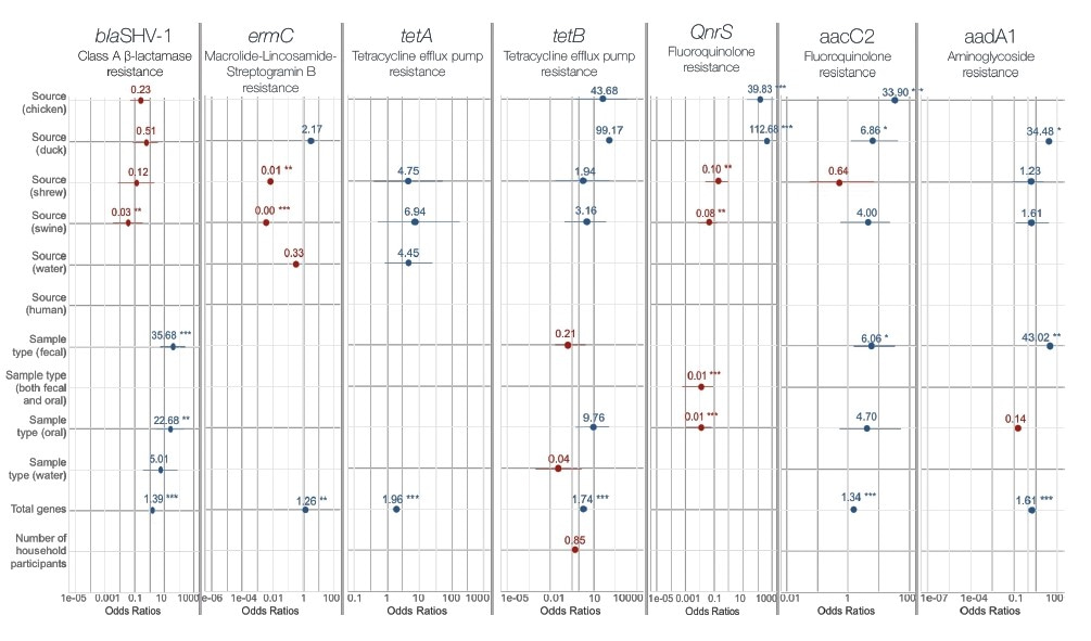AMR profile from Temporary Settlement