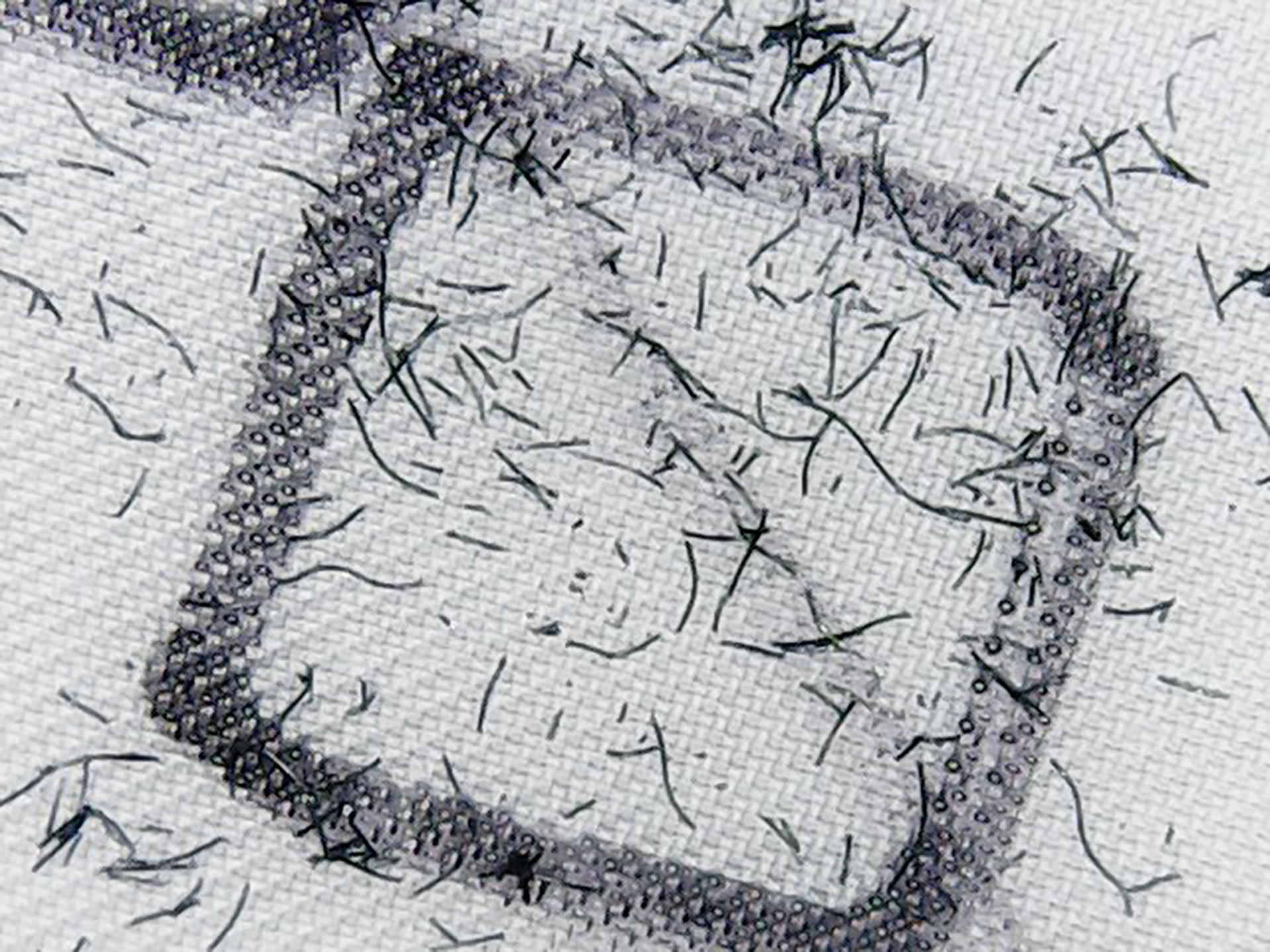 Collected microplastic fibres from a nylon fabric Collected microplastic fibres from a nylon fabric