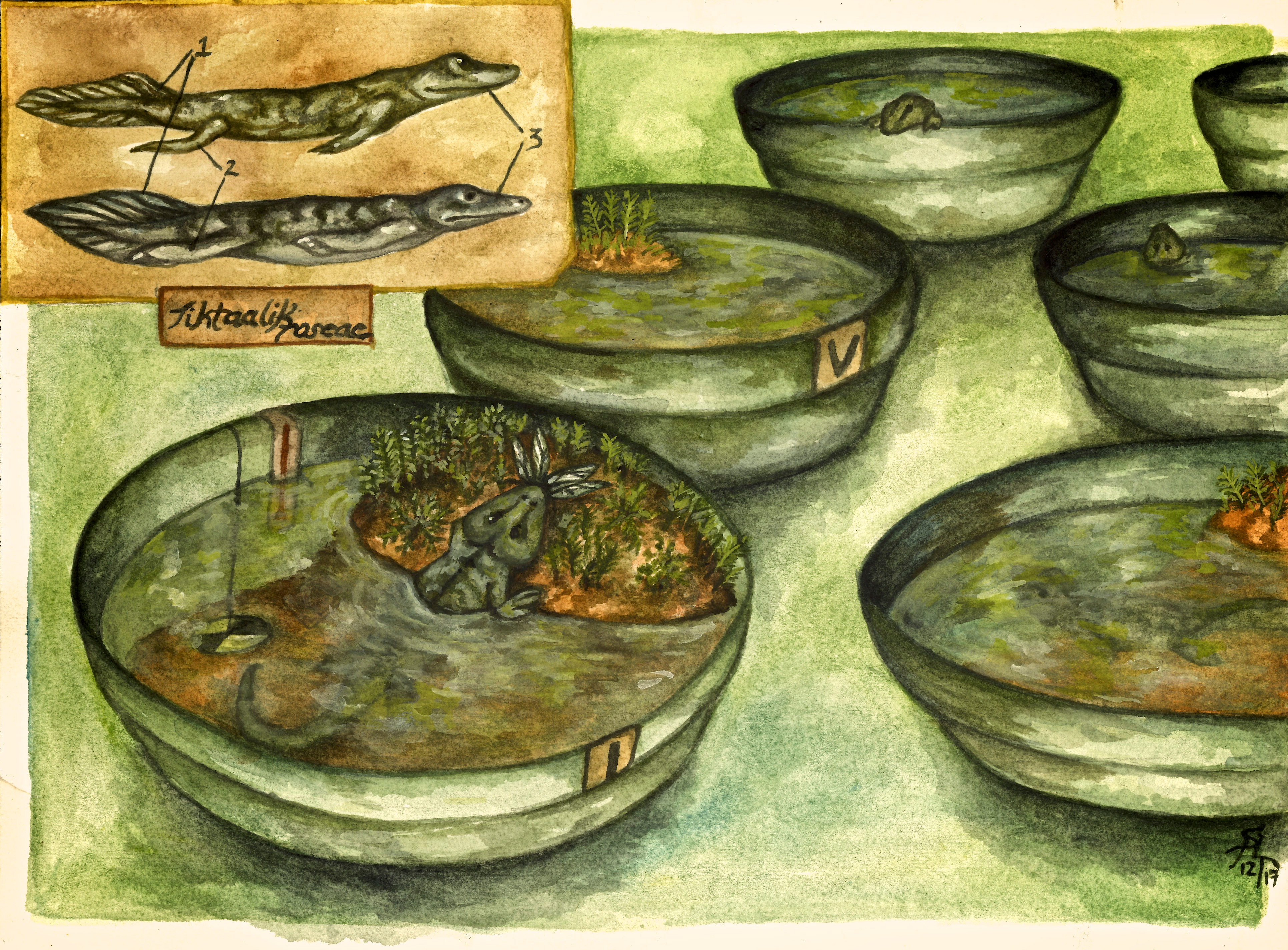 The ecological effects of the aquatic-land transition