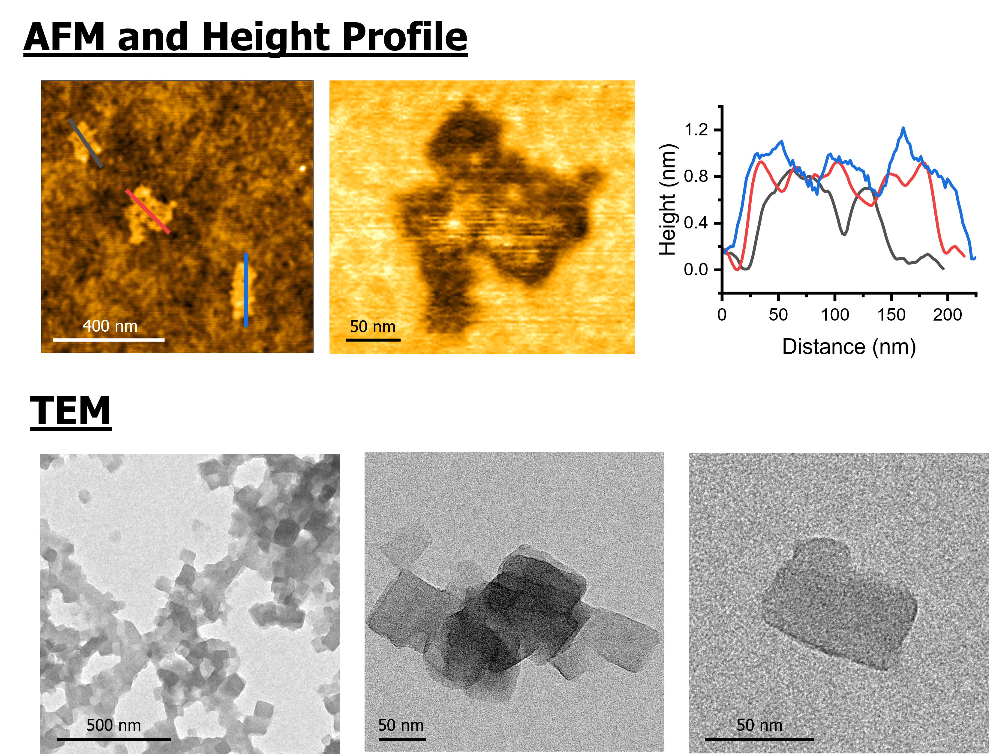 Atomic force and transmission electron microscopy images of the exfoliated layers