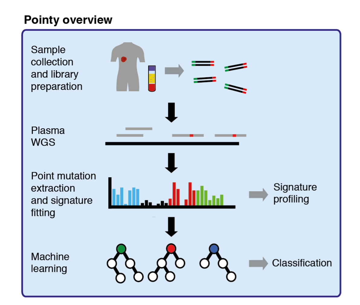 Figure 2. Pointy overview.