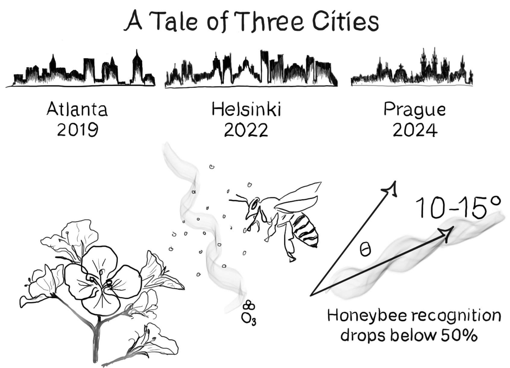 three skylines of cities: Atlanta, Helsinki, and Prague with a drawing of a flower below showing ozone interacting with floral scent, followed by a drawing of honey bee and a graphic showing that when ozone changes scent structure by 15 degrees honeybee recognition is compromised