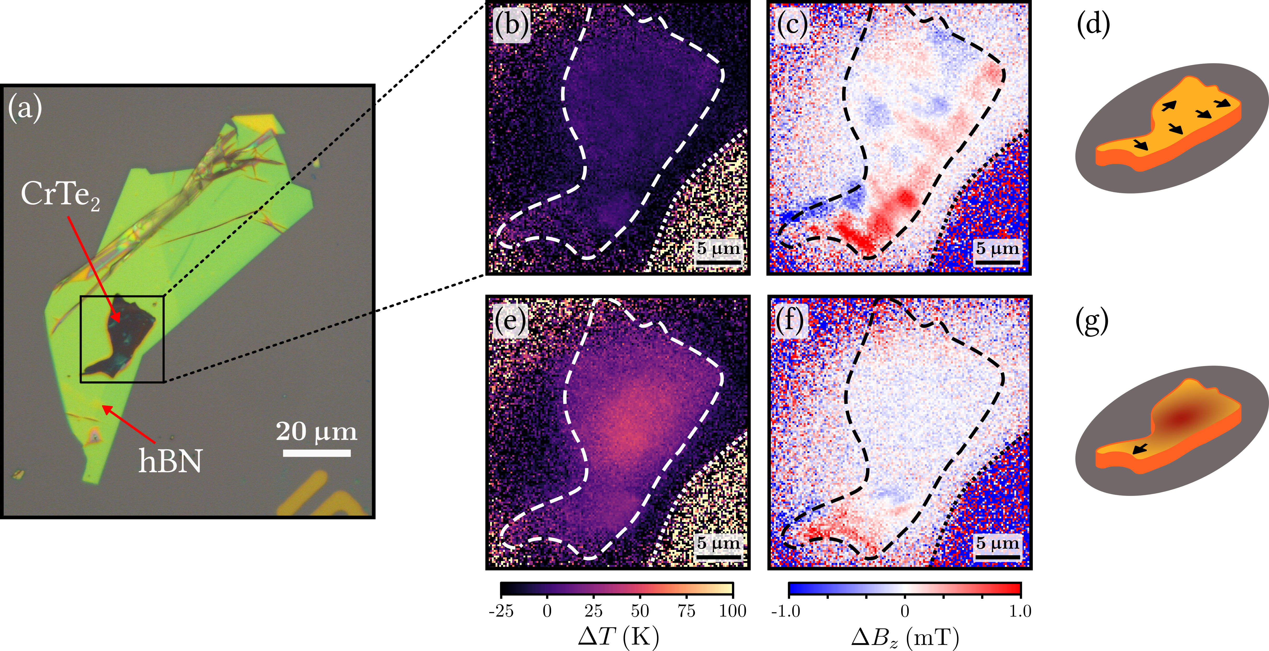 Simultaneous magnetic and temperature mapping of chrome ditelluride flakes