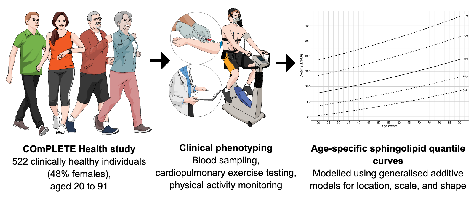 This figure was generated by the authors (JC) using the Mind the Graph platform (www.mindthegraph.com (accessed on 1 June 2025)).