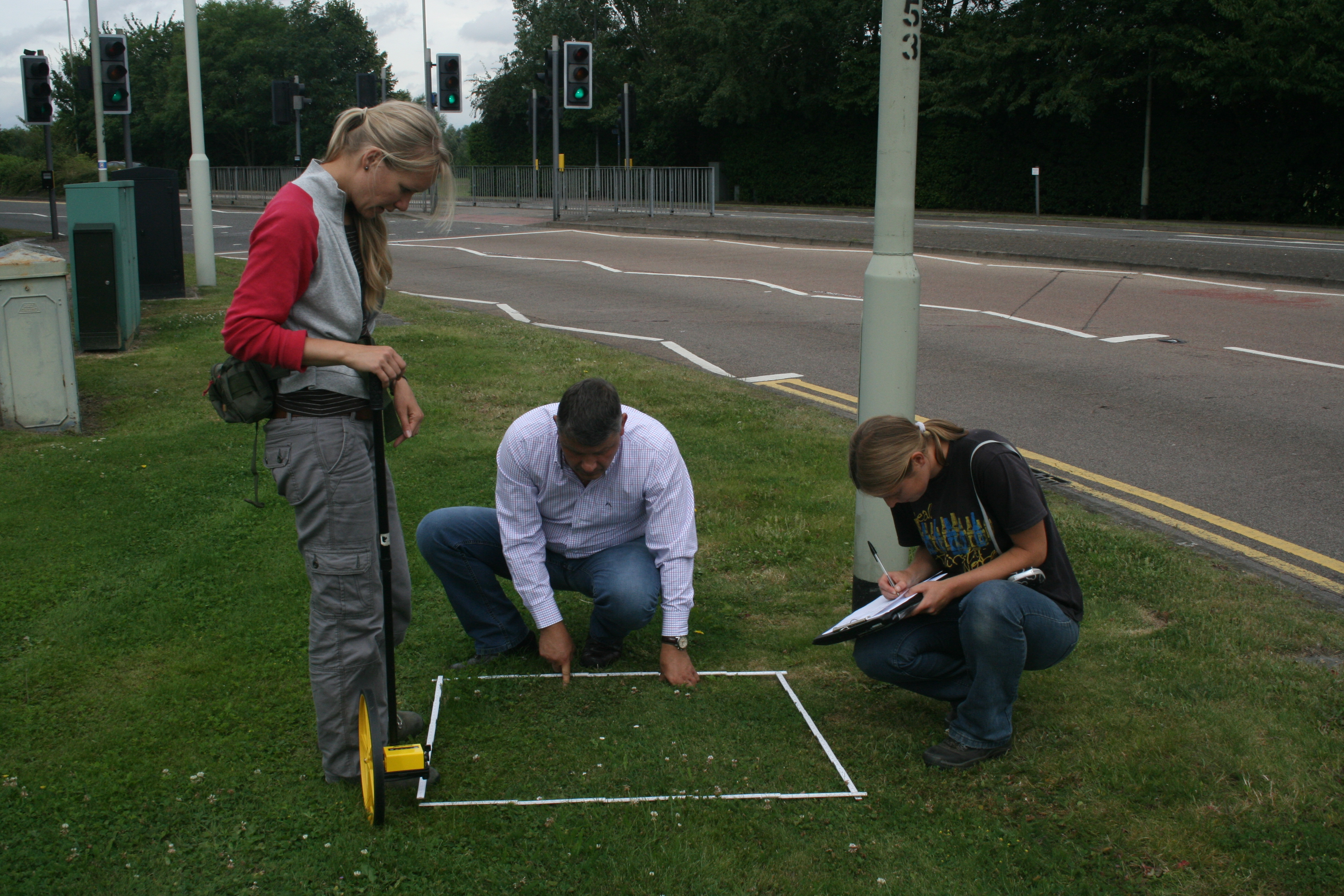 Sampling flowers in a road verge in Reading (Photo: K. Baldock)