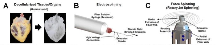 Strategies to build fibrous heart valves