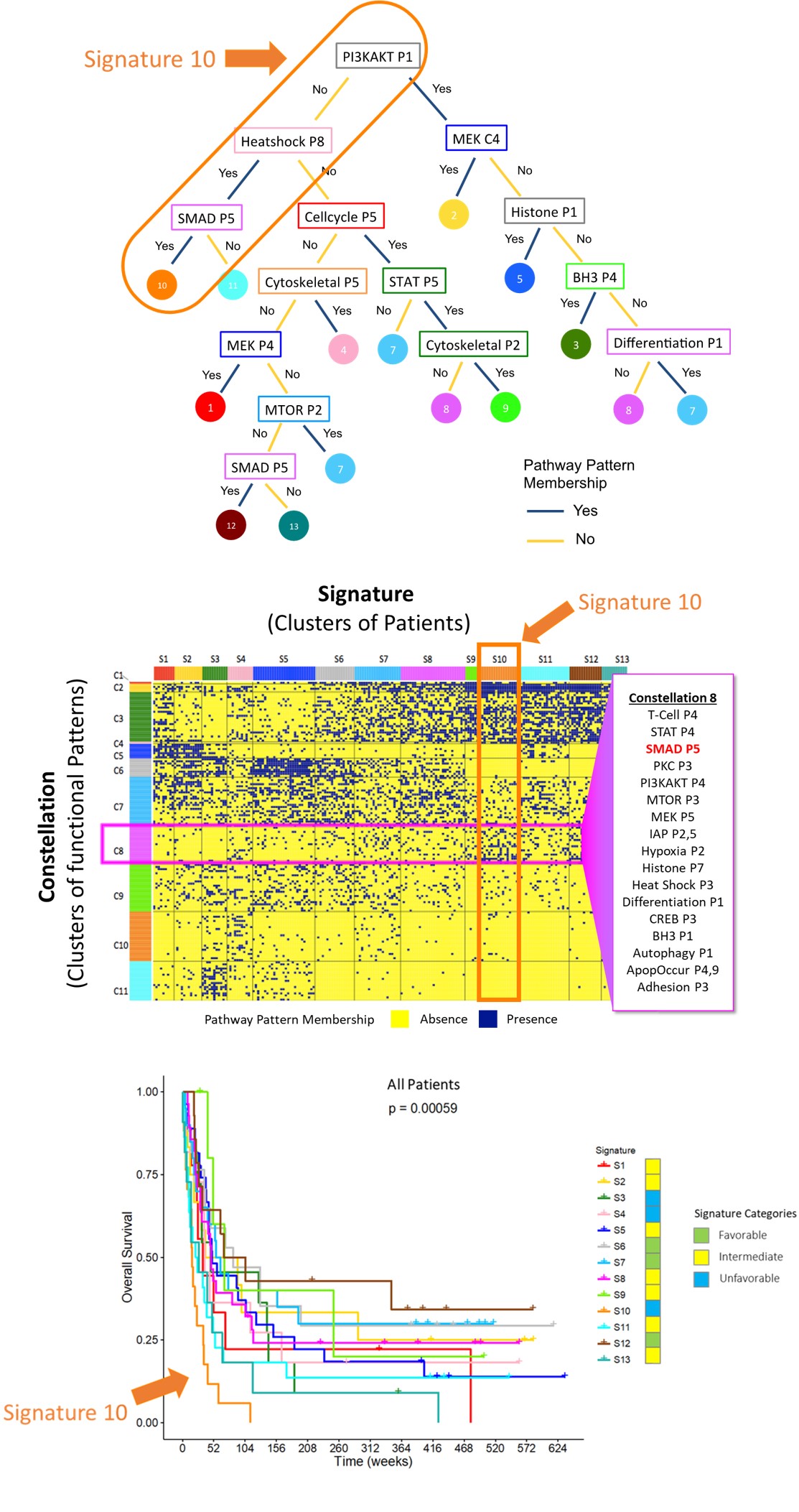 Identifying Leukemia Hallmarks. 