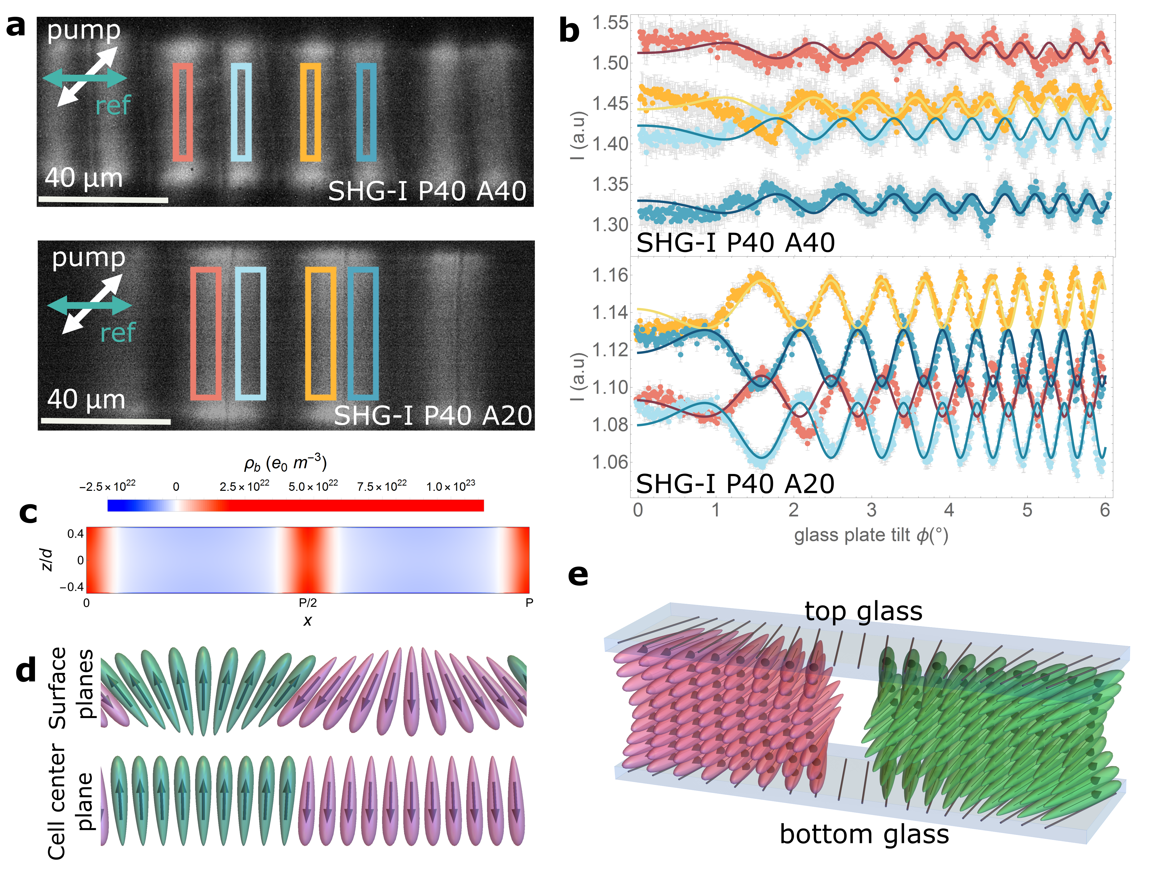 Polarization patterning proved by SHG interferometry in periodic splay photopatterned structures