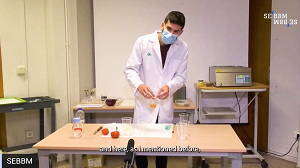 Video screengrab of a SEBBM DNA extraction workshop 