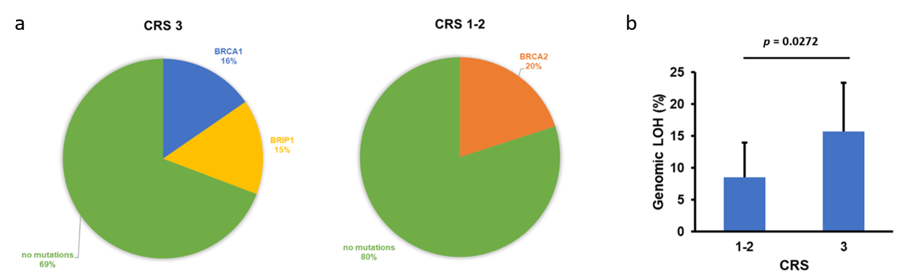 a) Frequency of CRS3 and CRS1/2 biopsy samples with HR pathway-related genomic alterations. b) Average genomic LOH in CRS3 and CRS1/2 biopsy samples. 