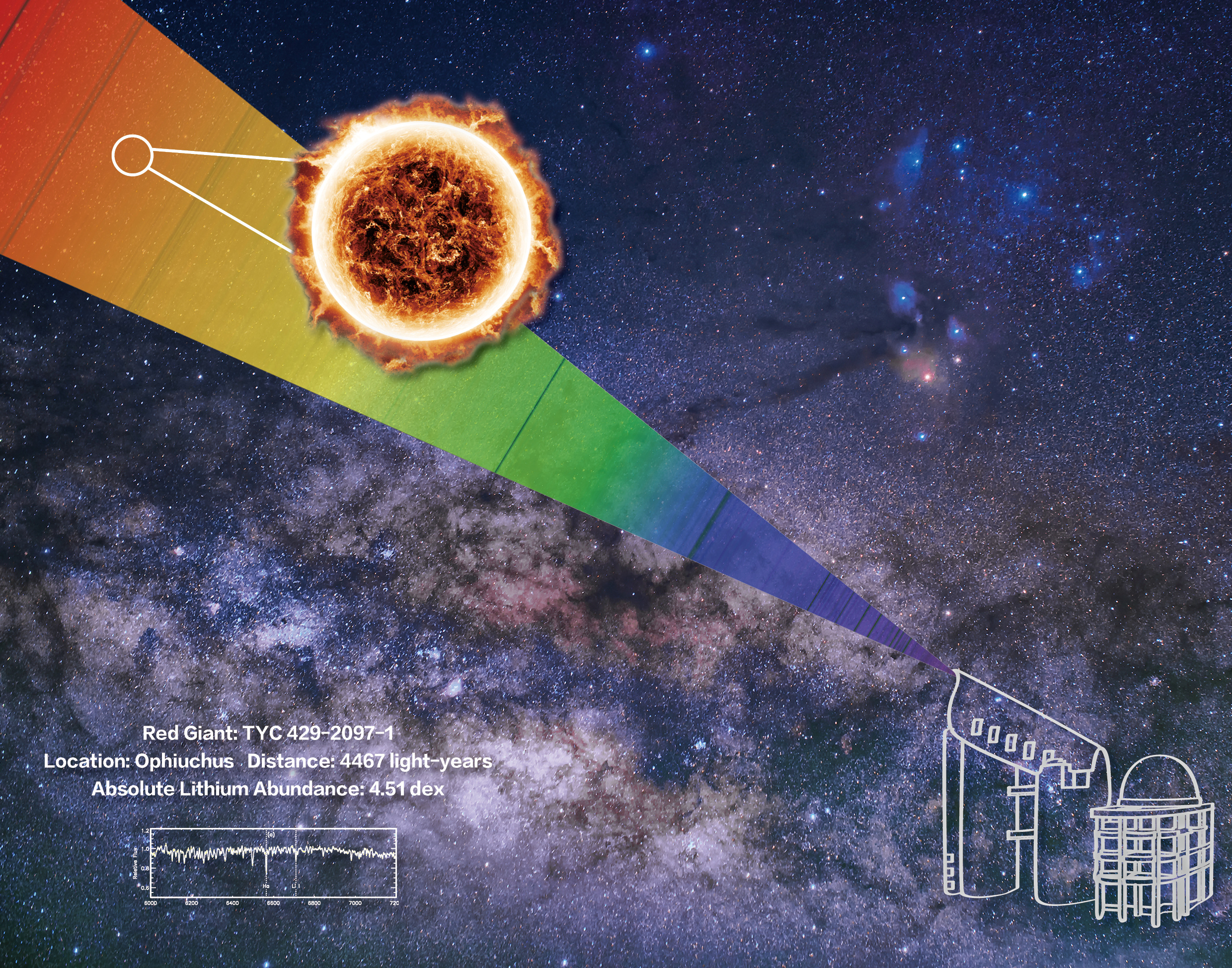 An illustration of the lithium-rich giant reported by this work. An illustration of the lithium-rich giant reported by this work.