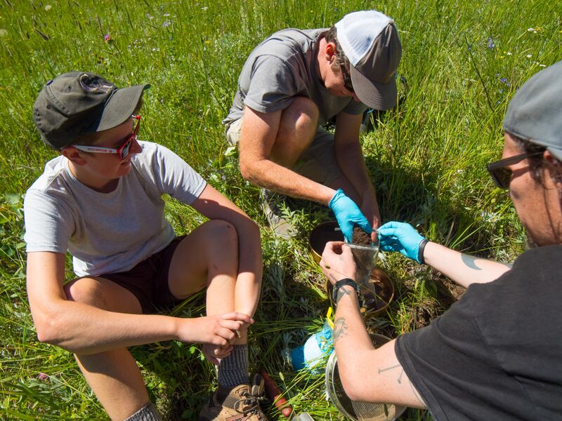 Angela (left), Noah (middle) and Patrick (right) collecting soils.