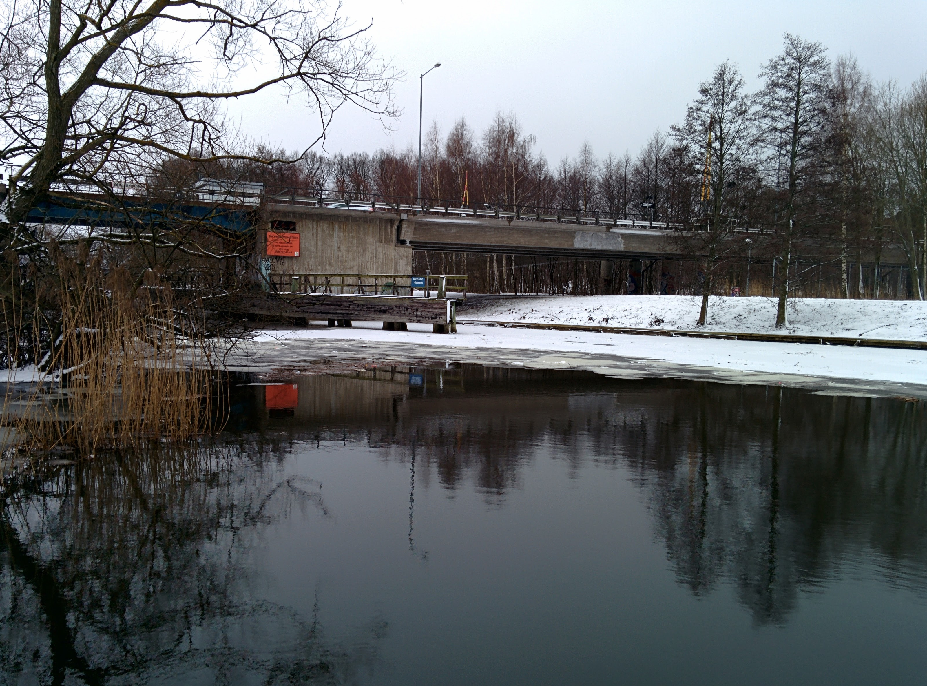 Phage genes served up cold