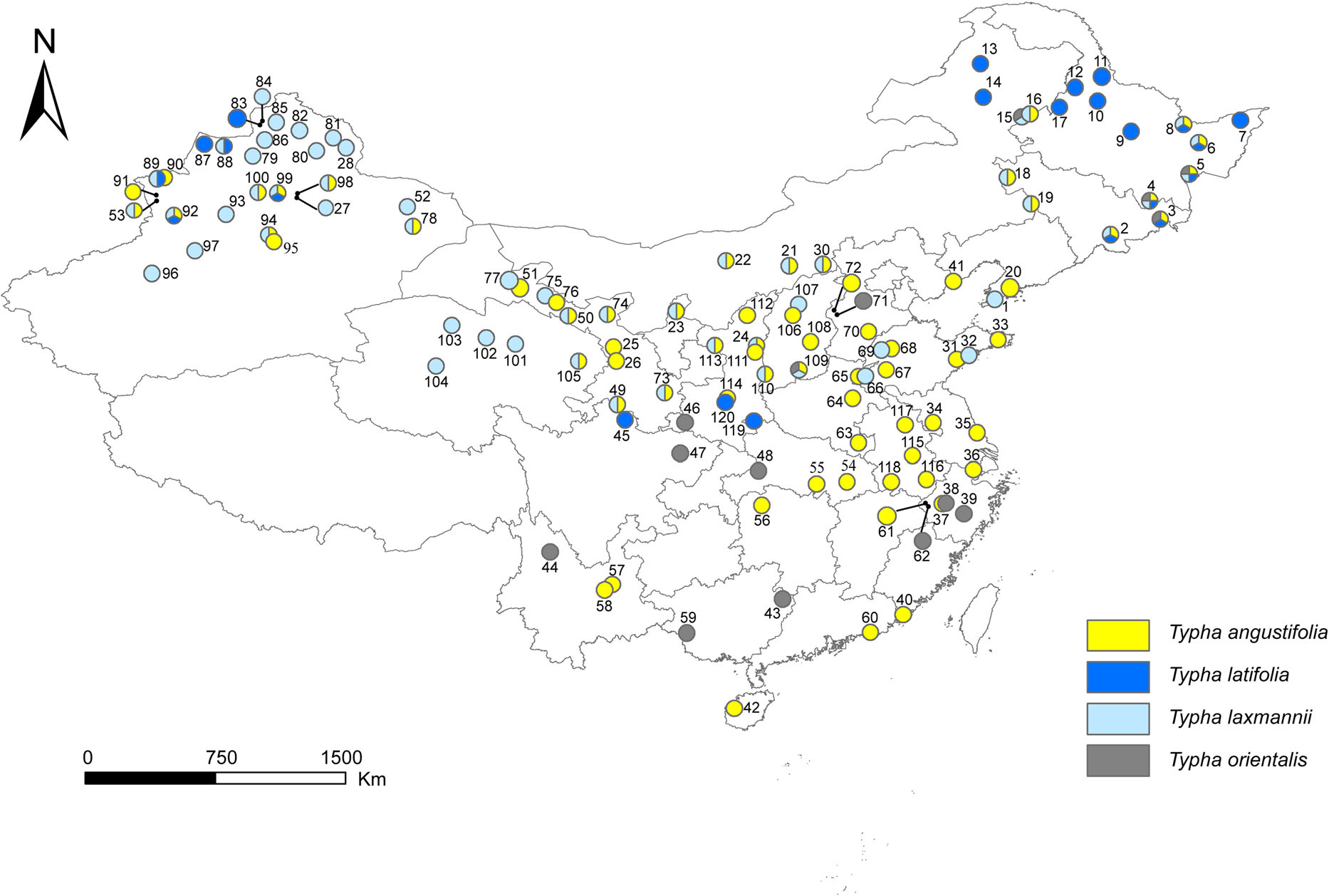 The 120 sampling sites of the four Typha species. Data source Zhou et al., 2016. . Data for different species are shown in different colors