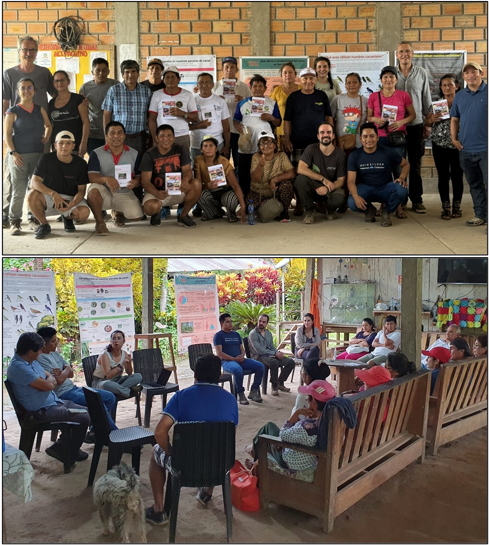Participatory workshops with farmers from the cacao smallholder cooperatives Cooperativa Agraria Cacaotera Acopagro Ltda. (top) and Cooperativa Agraria Cacaotera Choba Choba Ltda. (down).