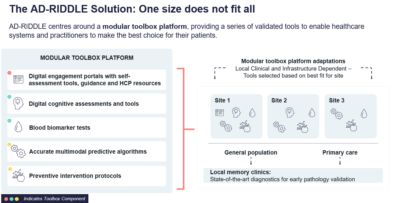 The AD-RIDDLE solution
