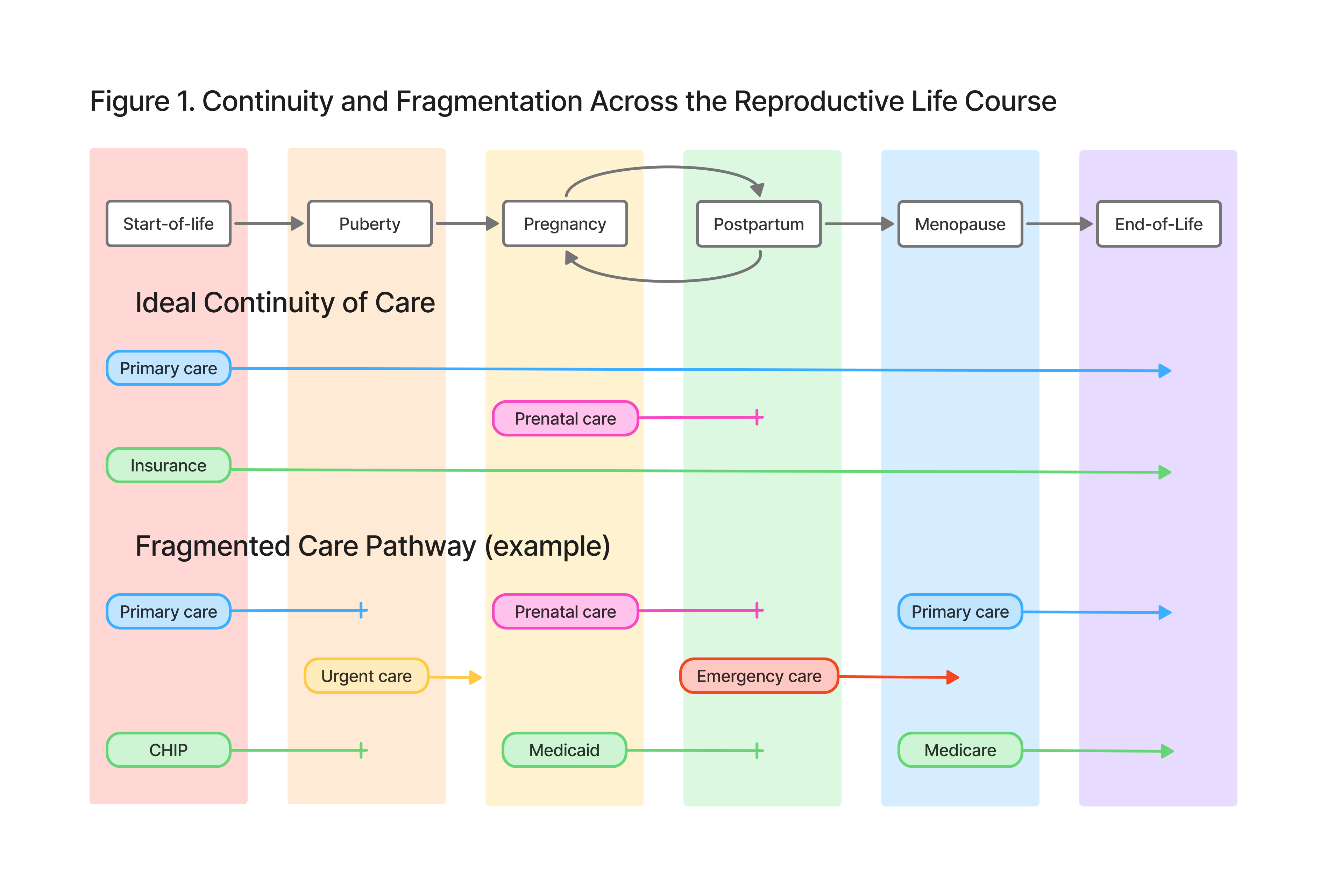 Figure 1. Continuity and Fragmentation Across the Reproductive Life Course