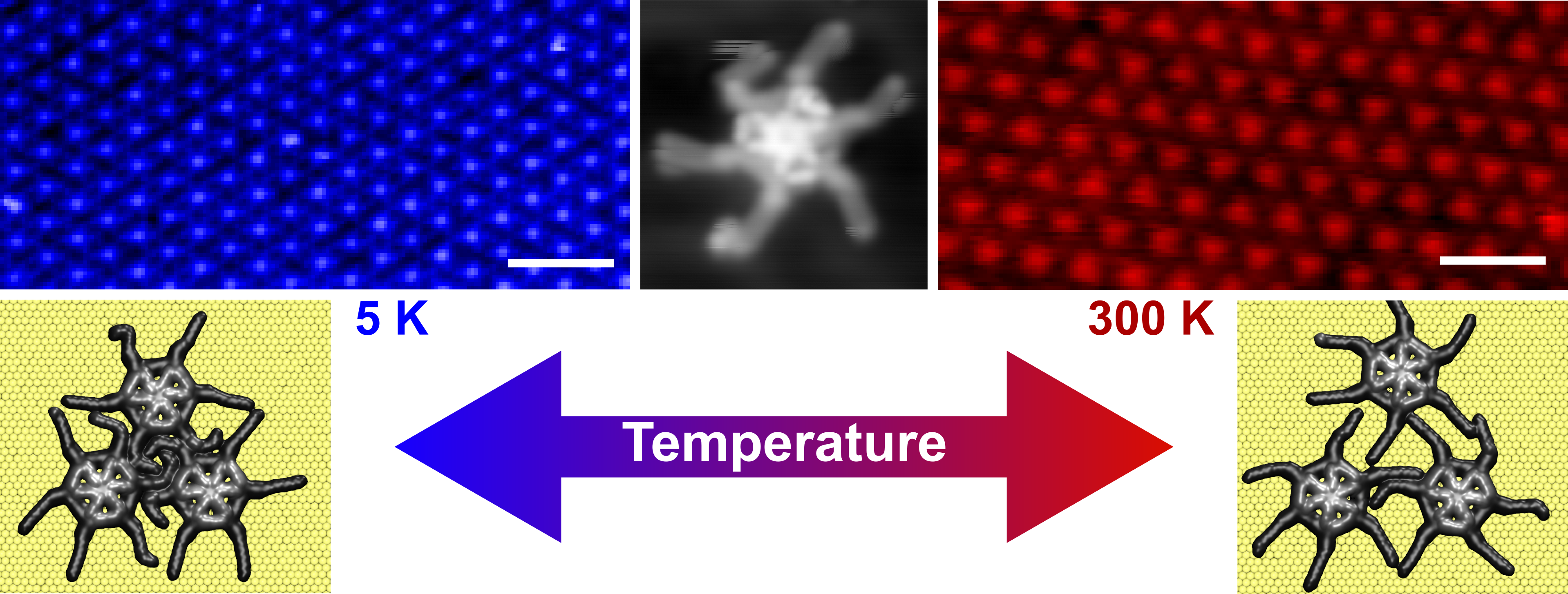 Thermal expansion of spoked wheel molecule revealed by scanning probe microscopy measurements at 5 K and 300 K and confirmed with molecular dynamics calculations.