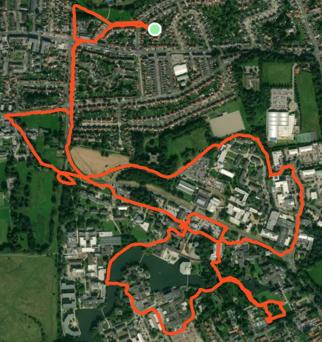 A Strava map showing the route for my walk.