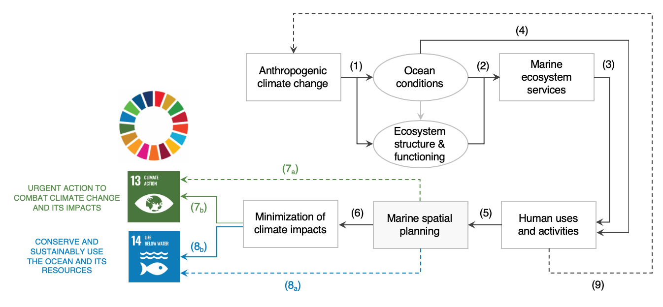 Conceptual model