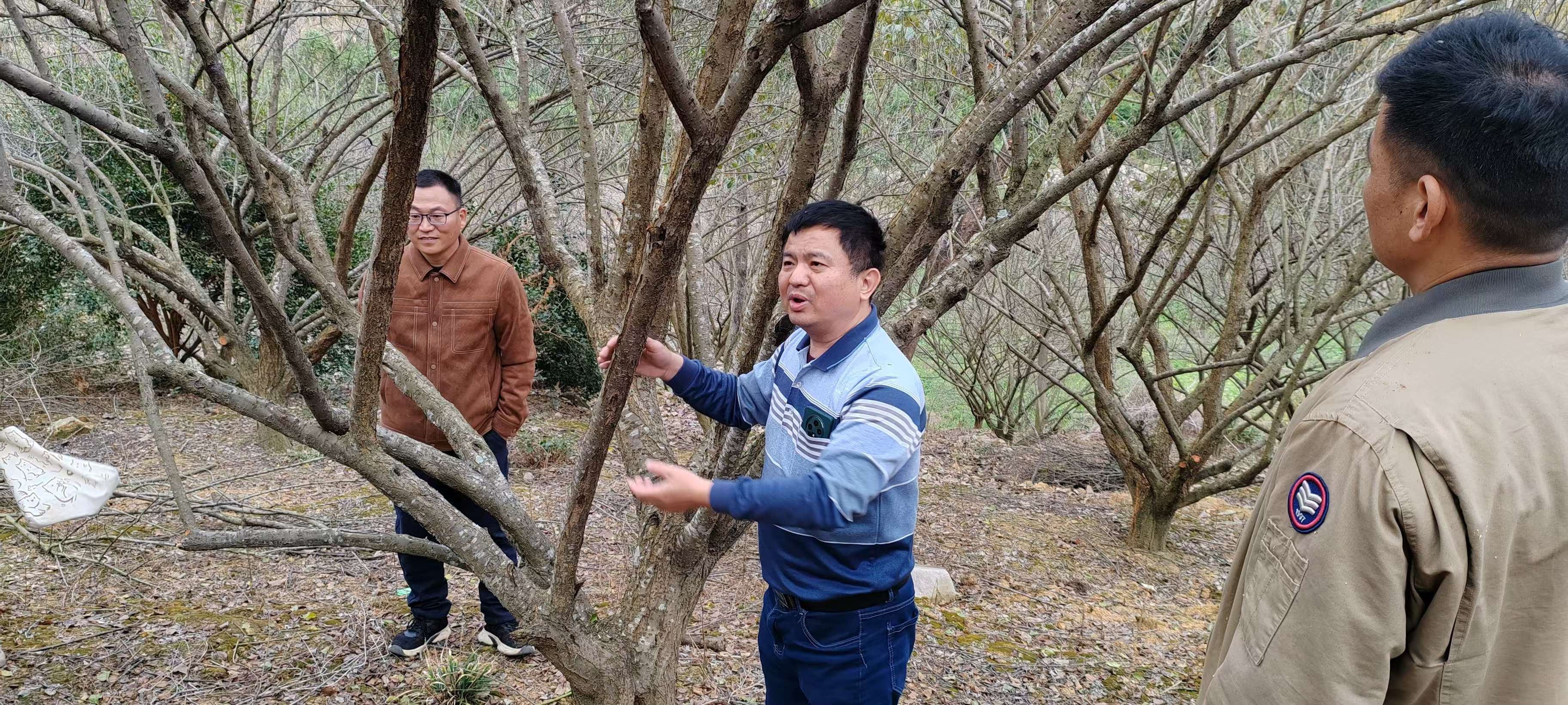 Three researchers discussing plant characteristics during fieldwork in a wooded habitat.