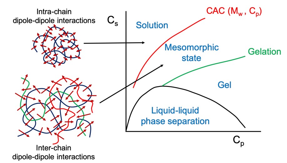 phase diagram