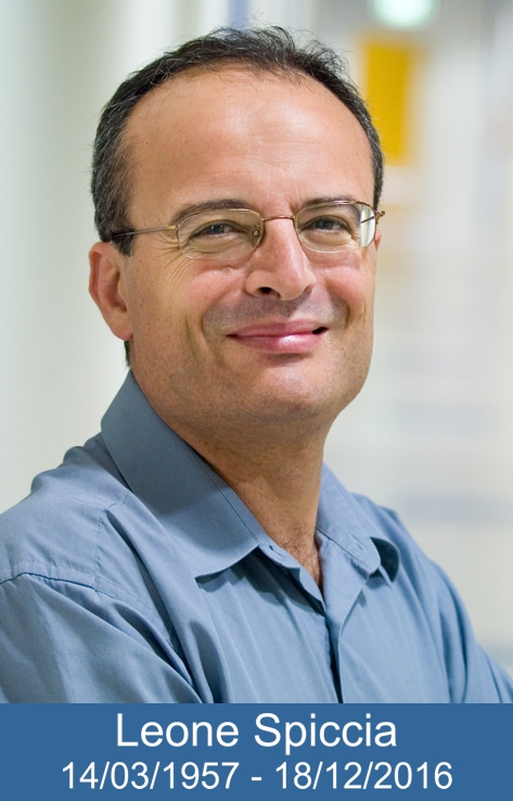 Professor Leone Spiccia