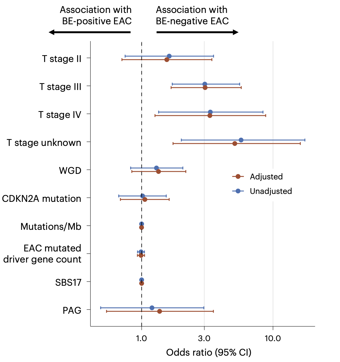 A forest plot — a standard way researchers display statistical results — showing which tumour and genomic features   are more common in Barrett's-negative oesophageal cancer (BE-ve EAC) compared to Barrett's-positive cancer (BE+ve EAC).    Each row is a different factor; dots represent the estimated effect size (odds ratio) and horizontal lines show the   range of uncertainty (95% confidence interval). Dots to the right of the centre dashed line indicate a stronger link to    BE-negative cancer. Two estimates are shown per factor: one adjusting for patient characteristics (brown) and one   without adjustment (blue).    ▎ The clearest finding is that BE-negative cancers are more likely to be at an advanced stage at diagnosis — T stage   III and IV tumours show odds ratios around 3–4 times higher compared to early-stage (T stage I) tumours. By contrast,   DNA-level features of the tumour — including overall mutation burden, specific mutation patterns (SBS17), whole-genome   doubling, and individual driver gene mutations — show no meaningful difference between the two cancer types, suggesting    the two phenotypes are genomically similar despite their different clinical presentations.