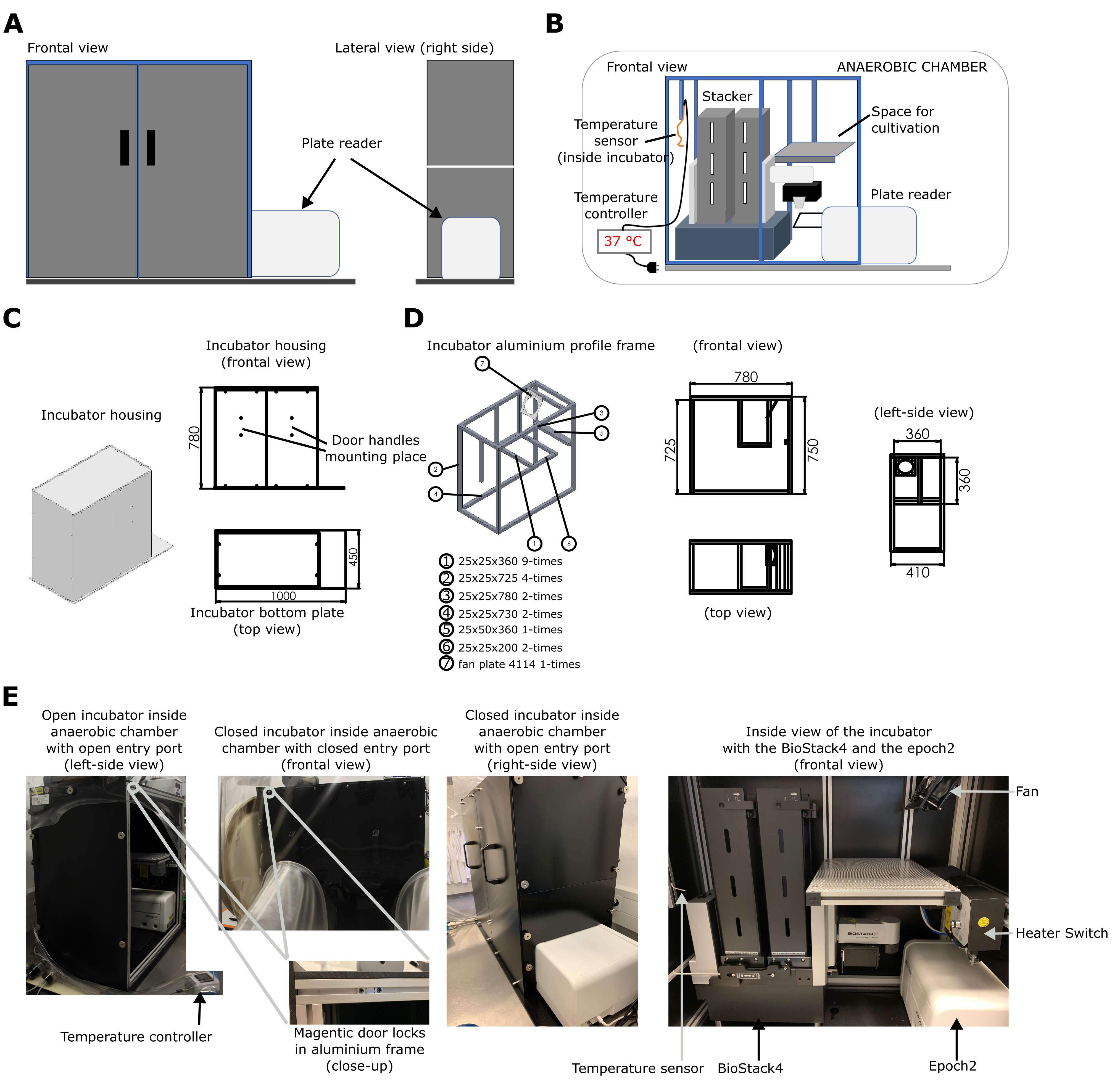 A) Illustration of the custom-made heatable incubator (closed) with microplate spectrophotometer. Frontal and lateral view. B) Illustration of the arrangement of the stacker and plate reader in the incubator in frontal view. C) Schematic drawings of the incubator housing (bottom, walls, roof and 2 magnetic doors). D) Schematic drawings of the aluminum profile frame of the incubator. The housing consists of black PVC plates that are screwed to the aluminum profile frame. E) Images of the incubator in the anaerobic chamber with the BioStack 4 and Epoch2.