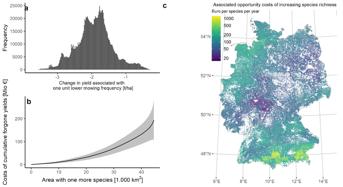Upper bound of the opportunity cost of increased plant species richness. Panel a shows the distribution of the lost dry matter yield per hectare at a one unit lower mowing frequency. Panel b shows the cumulative curve of the upper bound of opportunity costs in terms of lost hay production assuming an average hay price of 70 €/ton. The grey confidence band shows the annual variability and the prediction error. Panel c shows the spatial distribution of the associated opportunity costs in terms of the monetary value of the foregone hay yield per unit increase in plant species richness.