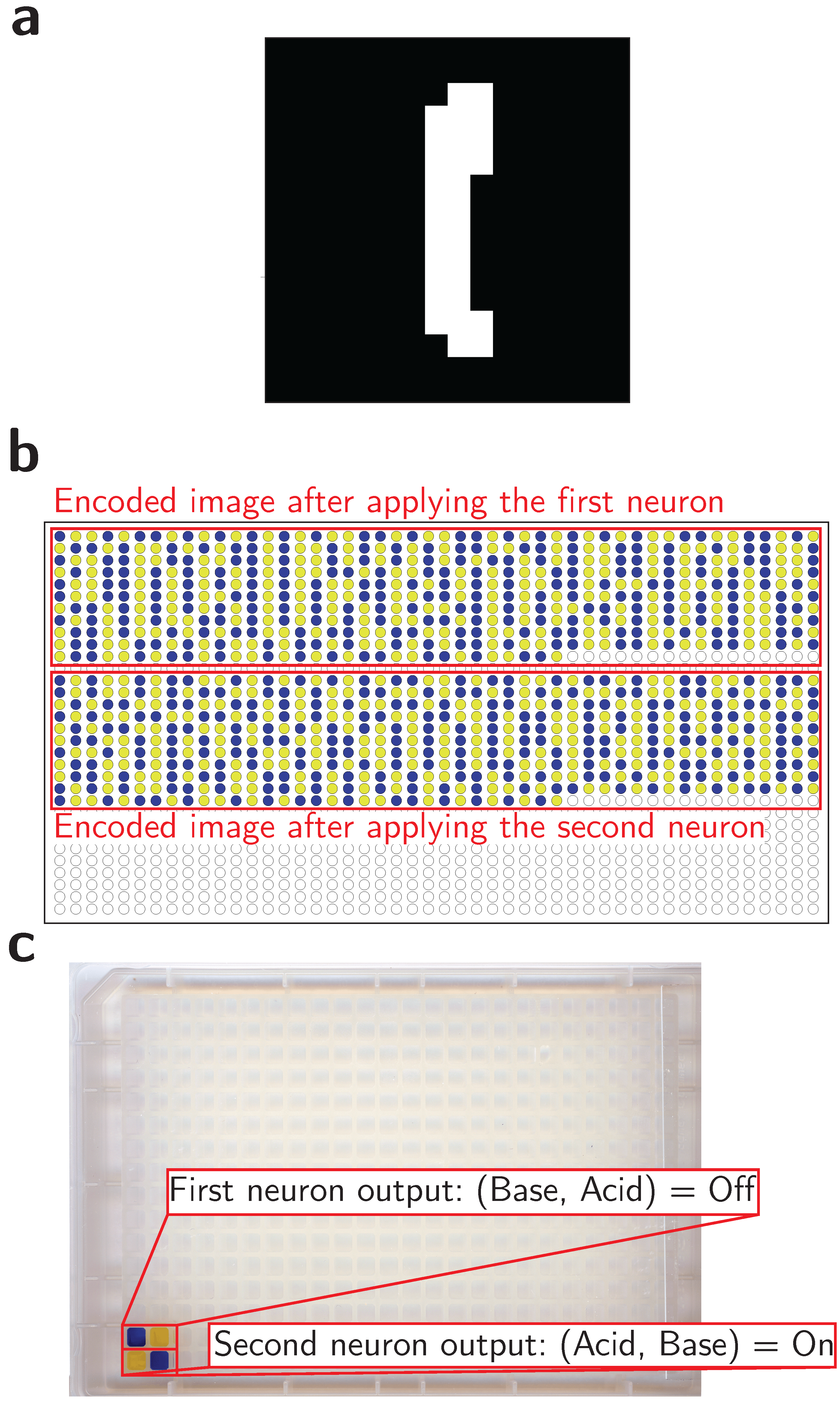 Classification of the digit “1” using an acid-base network