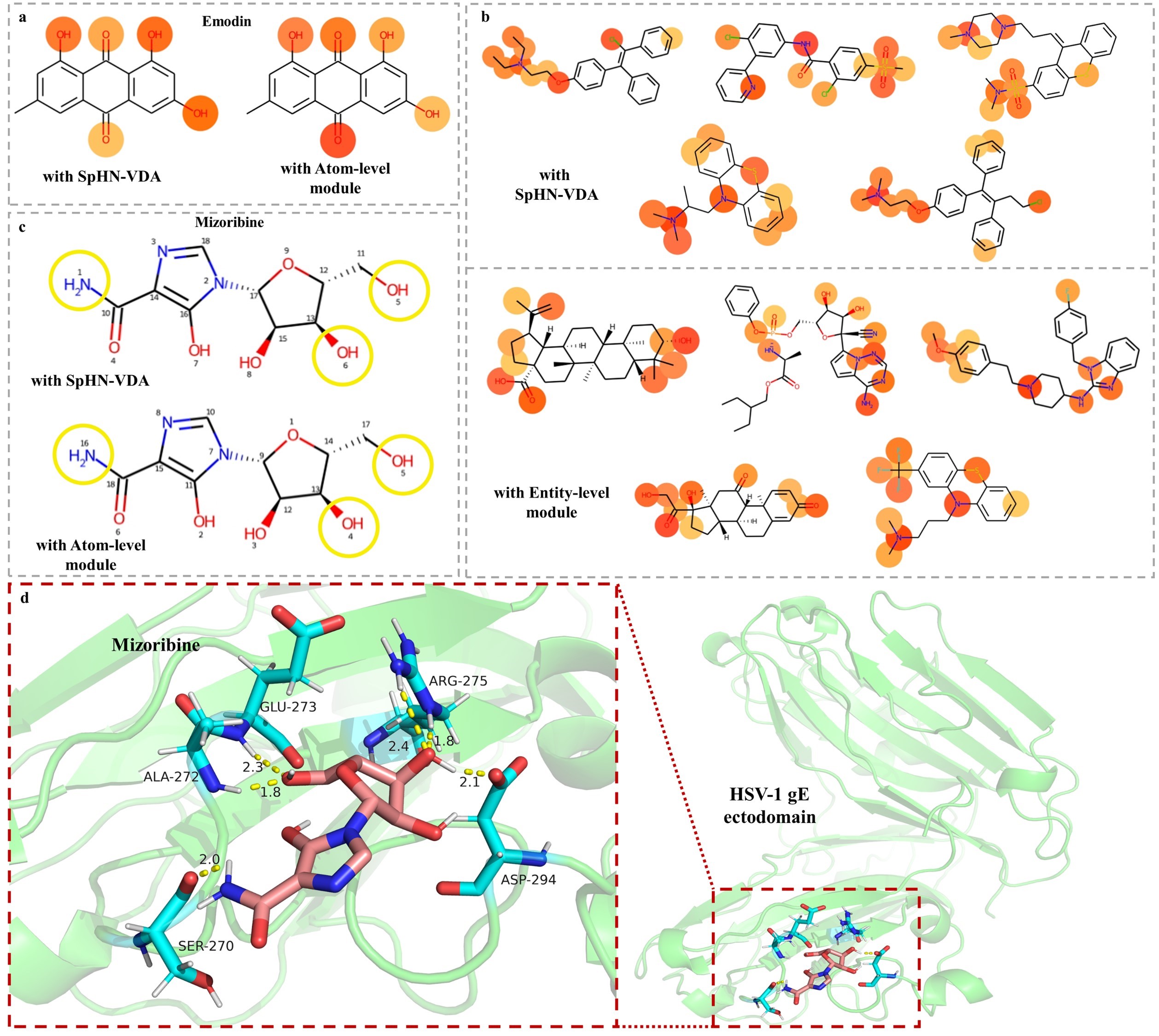 Interpretable analysis based on hierarchical information.