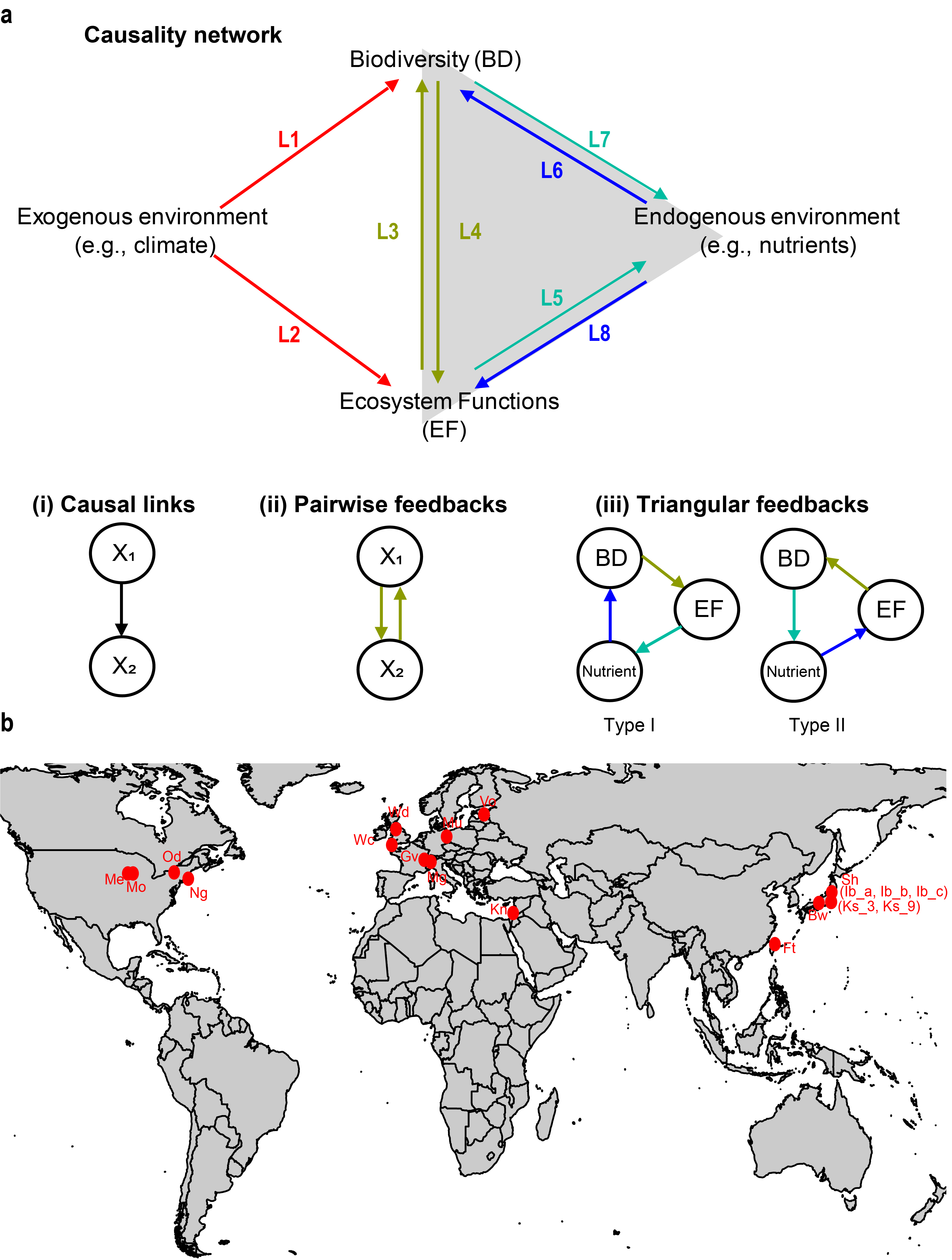 Figure 1 Through the causality analysis based on analyzing long-term time series, the research team quantifies various causal links and complex feedback regulations among key ecosystem components, including biodiversity, ecosystem functioning, and environmental drivers. Their study presents a sophisticated analysis of long-term phytoplankton assemblage data from 19 aquatic ecosystems around the world, quantifying important causal interactions (e.g., biodiversity effects on ecosystem functioning) and feedback regulations (e.g., diversity-nutrient-biomass triangular feedback) and revealing how the strengths of these network modules vary with along large-scale environmental gradients in natural aquatic ecosystems.